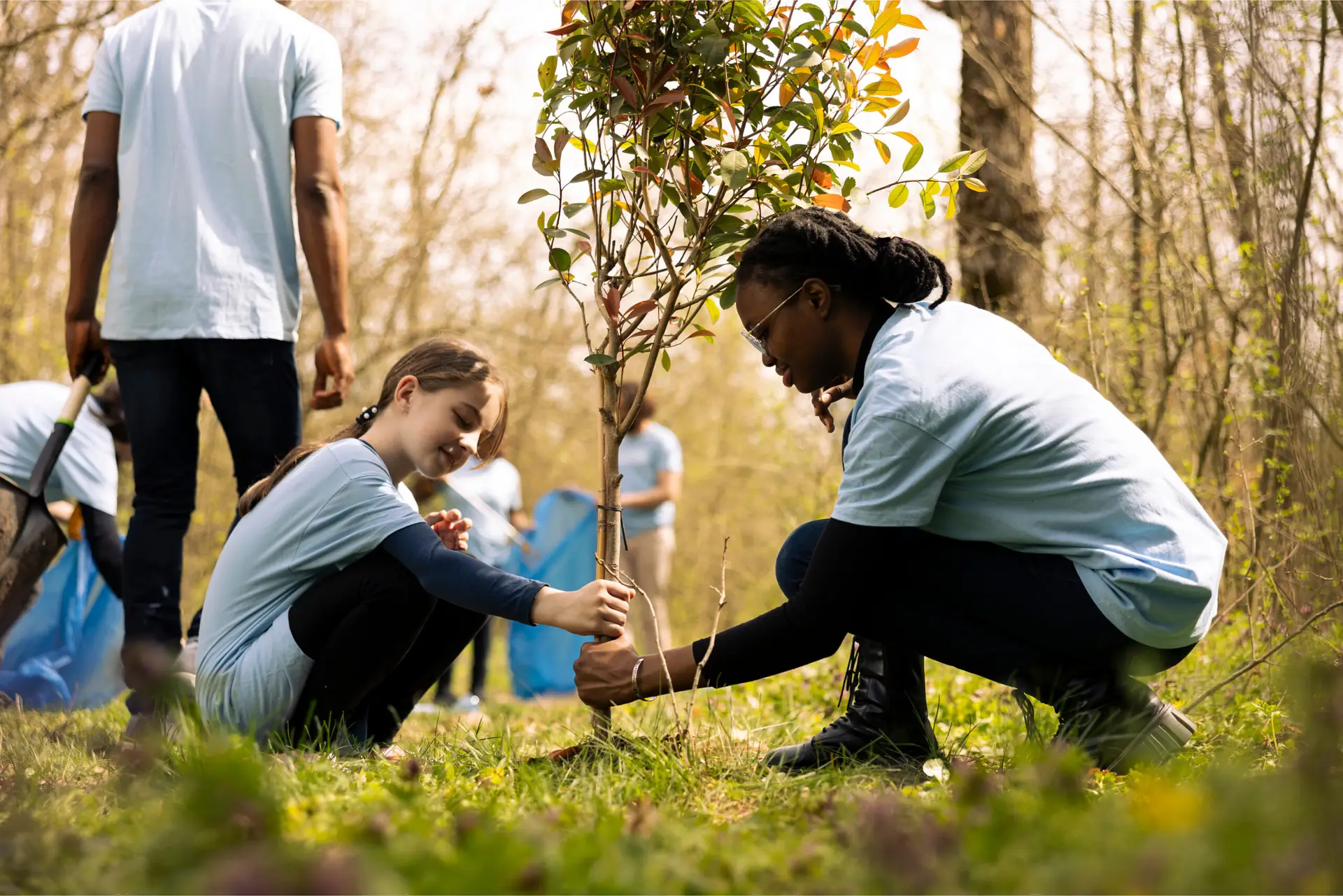 An adult helping a child plant a tree.